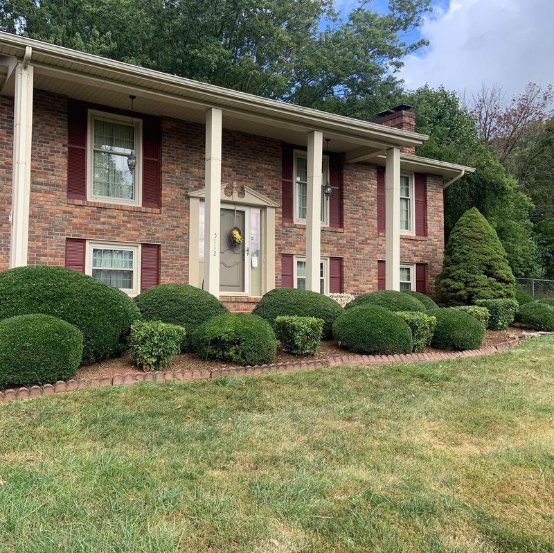 Shrub Trimming