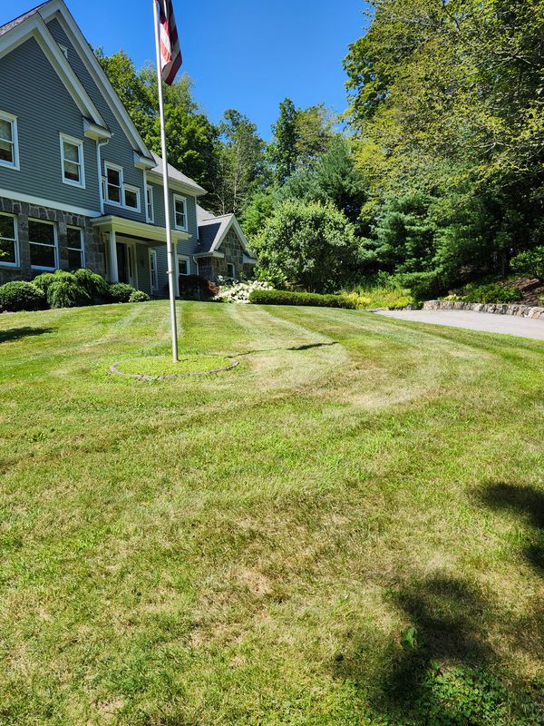 Lawn Mowing