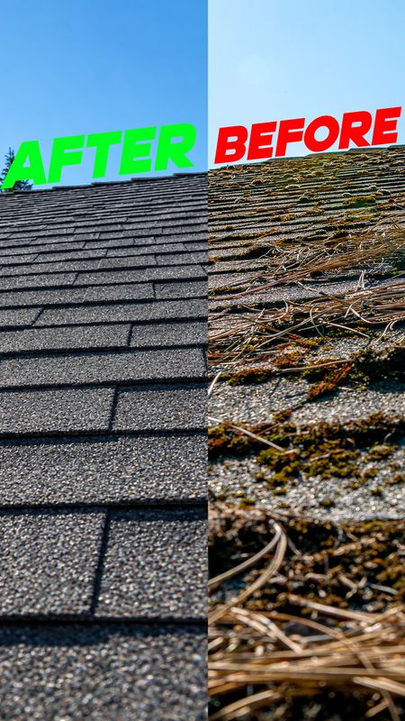 Roof Cleaning