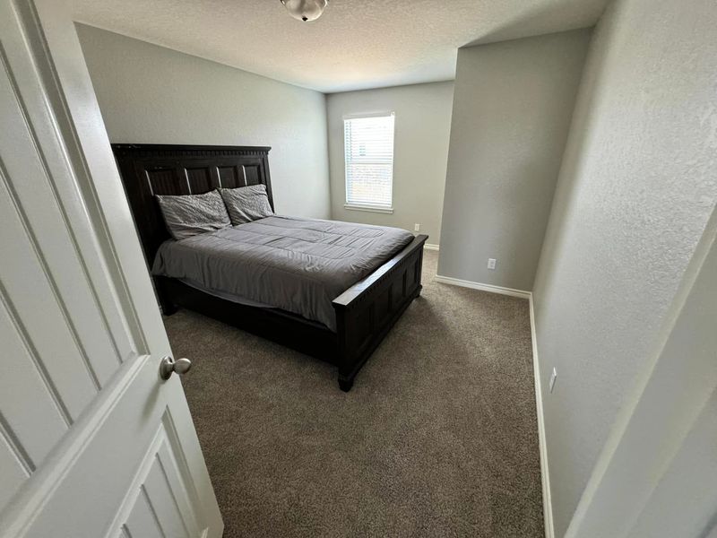 Painting & Drywall