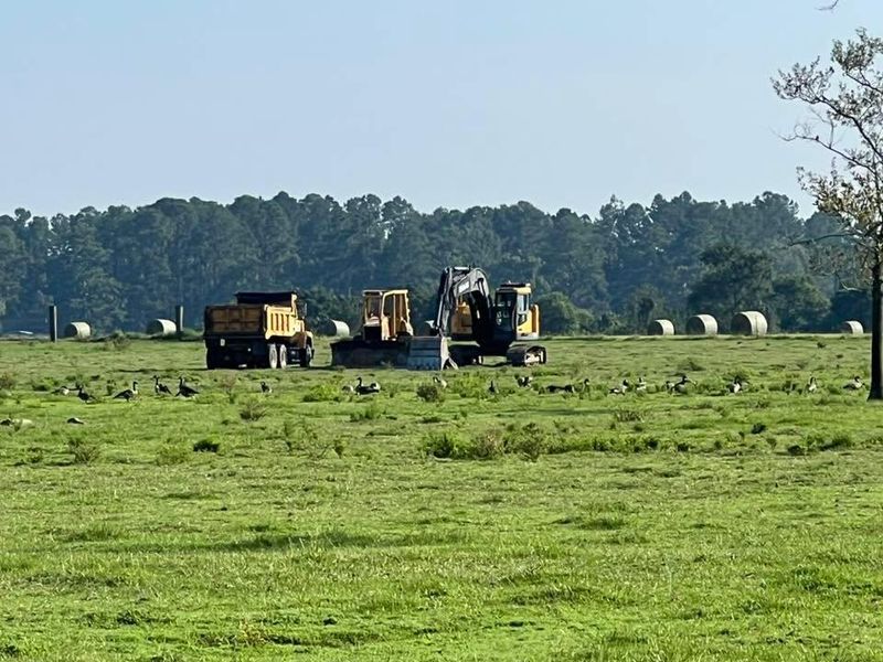 Land Clearing And Clean Up