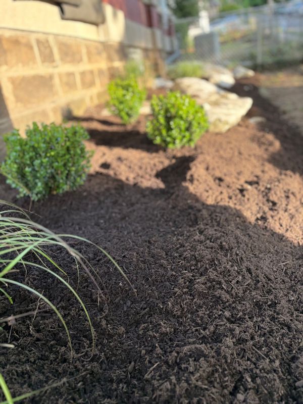 Landscape Design and Build