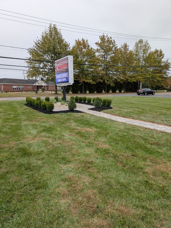 Privacy Plantings