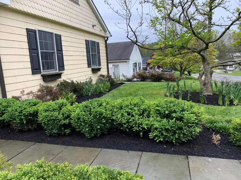 Landscape Design