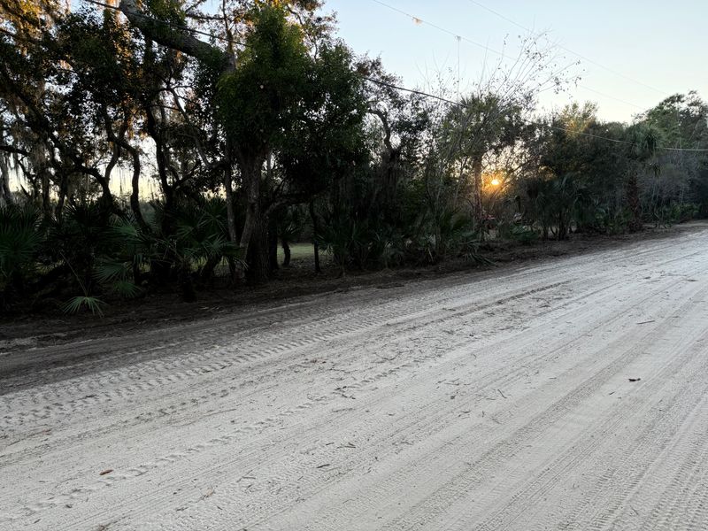 Land Clearing