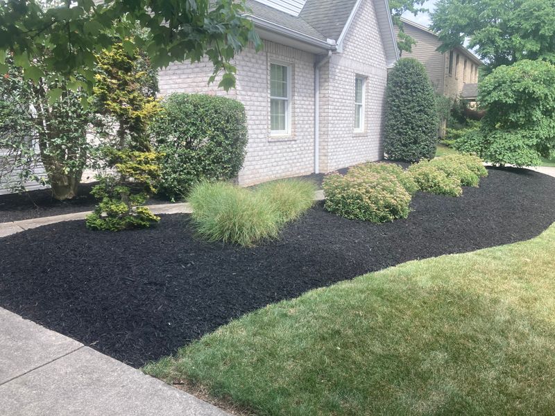Landscape Design