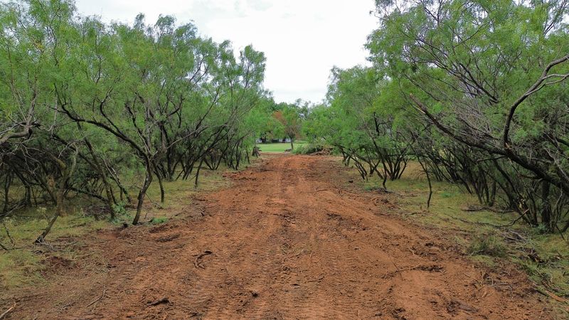 Wichita Falls Land Clearing Job
