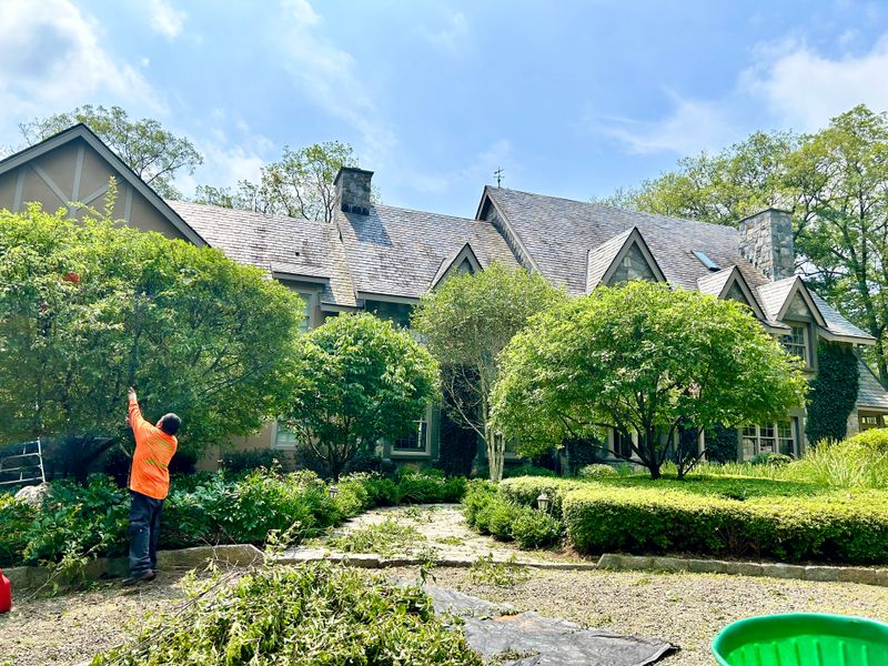 Landscaping