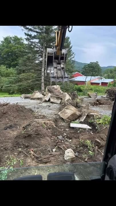 Tree Removal