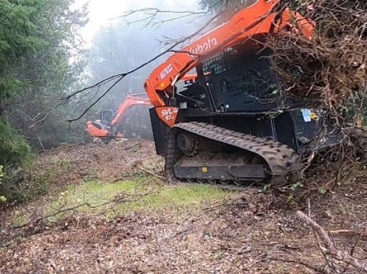 Brush Clearing