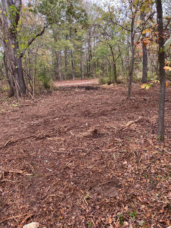 Land Clearing