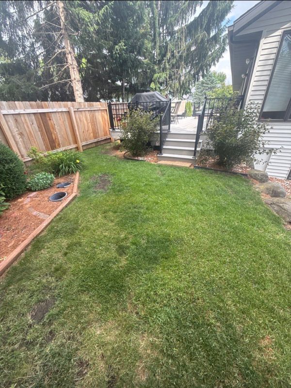 Sod & Seed