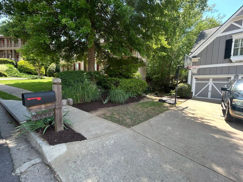 Tree & Shrub Care