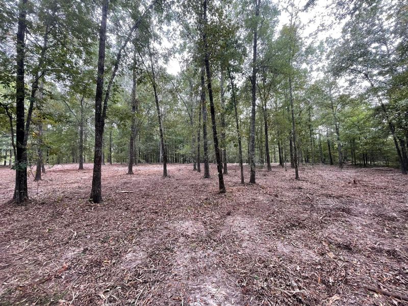 Forestry Mulching