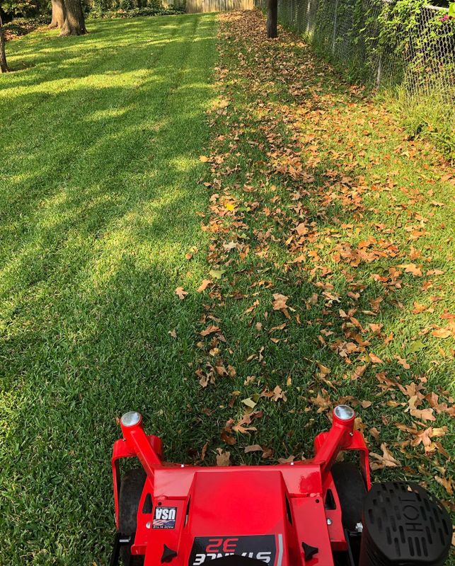 Fall Clean Up