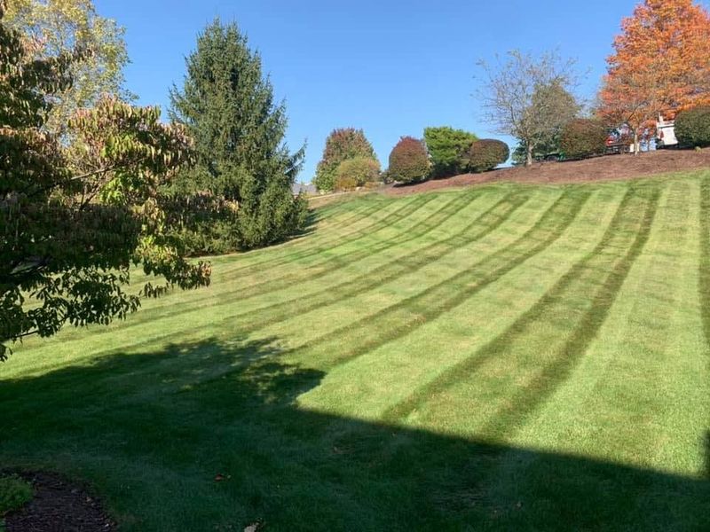 Lawn Maintenance