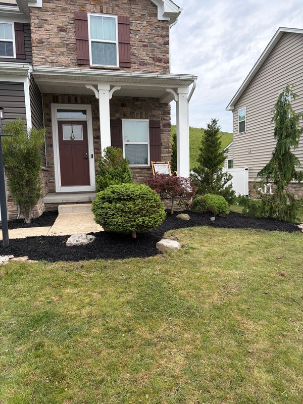 Landscaping