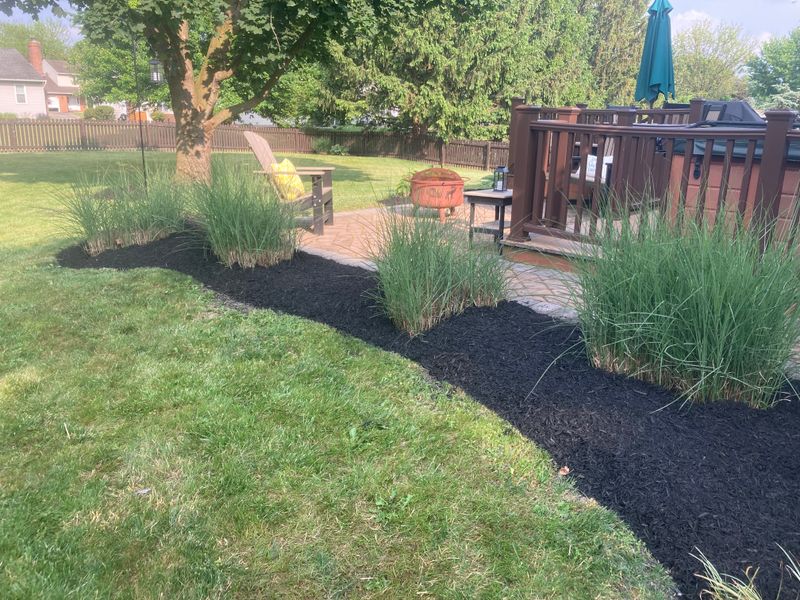 Landscape Design