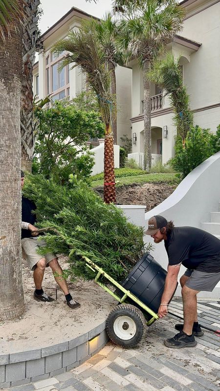 Landscaping Installation & Design