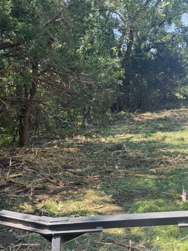 Land Clearing