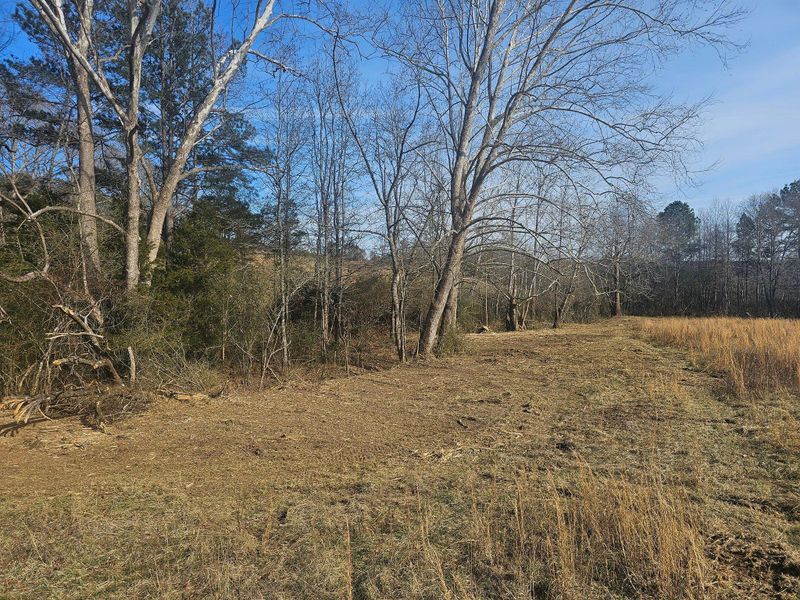 Forestry Mulching