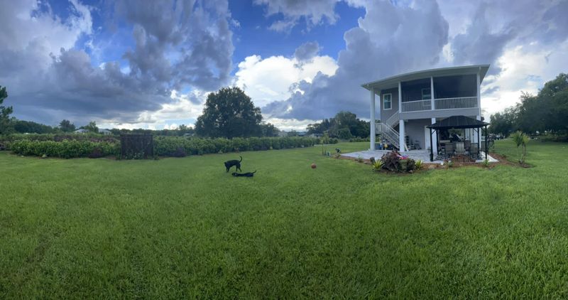 Lawn Maintenance 