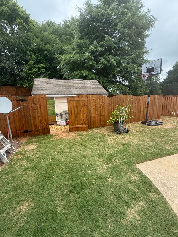 Deck & Fence Staining