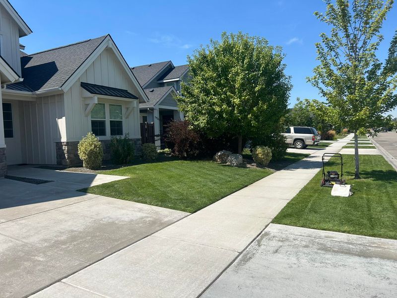 Lawn Mowing and Maintenance
