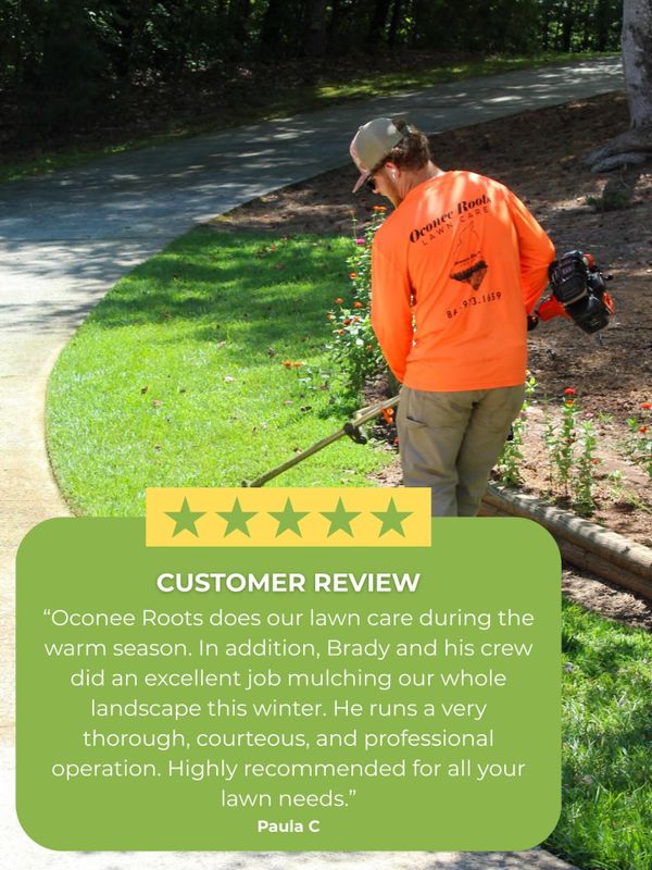 Full Service Lawn Maintenance