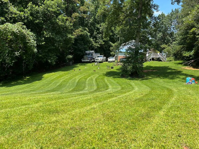Weed Control