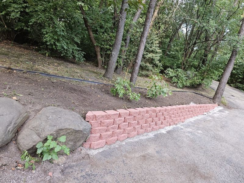 Plant & Shrub Installations