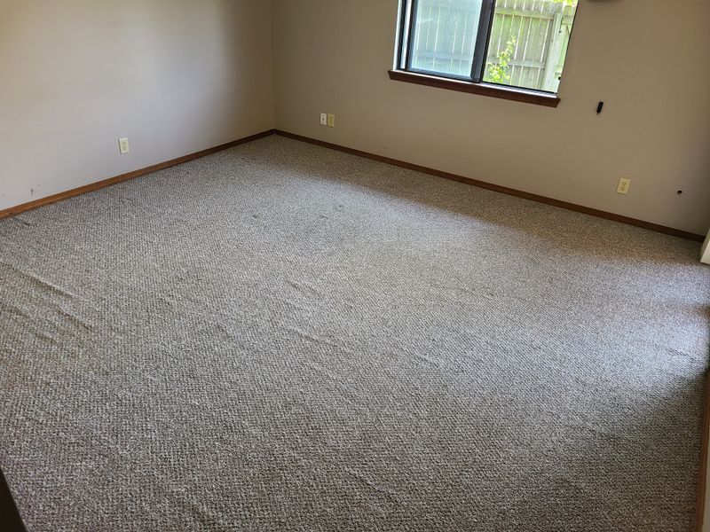 Carpet Cleaning
