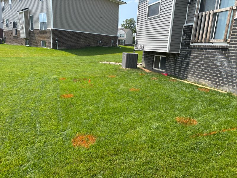 Extra Deep Postholes in South Lyon