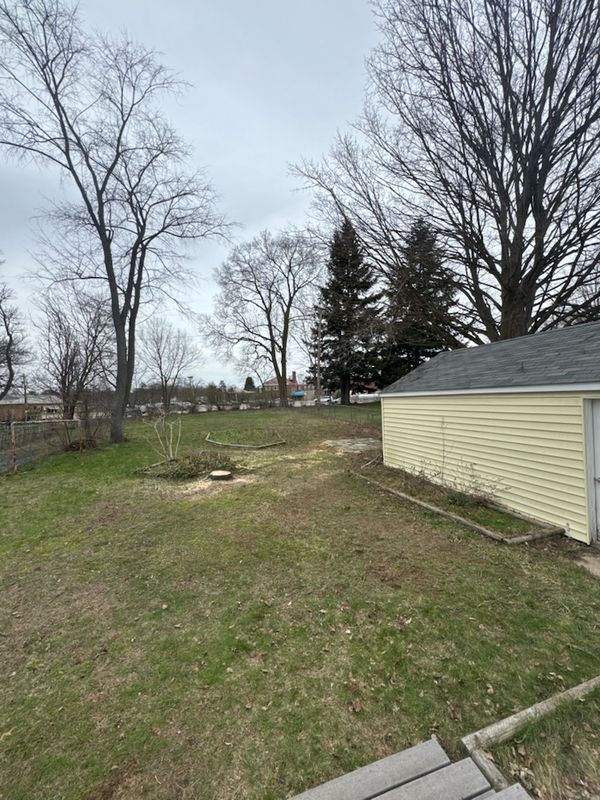 Storm Damage Cleanup and Pine Tree Removal in Hastings, MI
