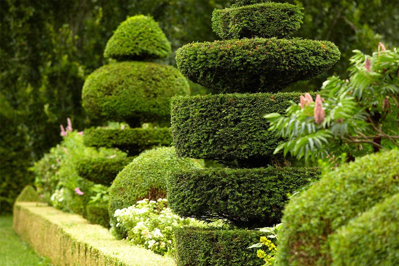 Garden Design and Installation