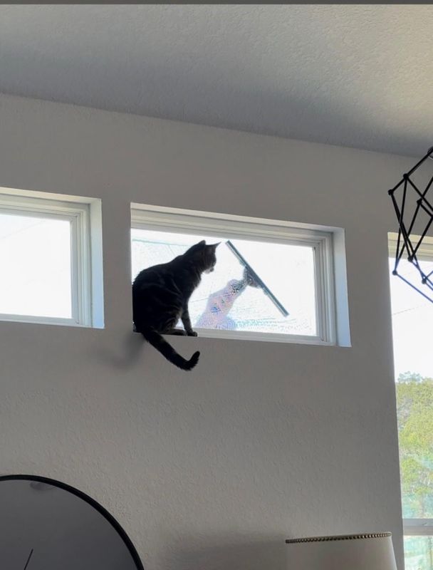 Window Cleaning 