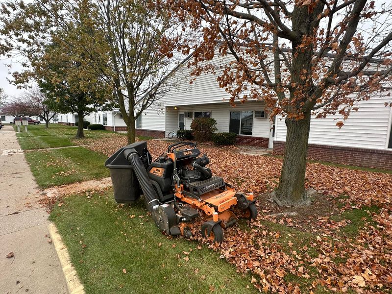 Fall and Spring Clean Up