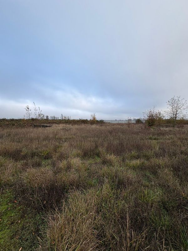 Land Clearing & Demolition