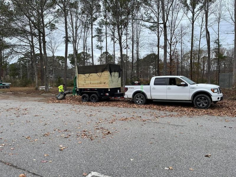 Debris Removal and Cleanup