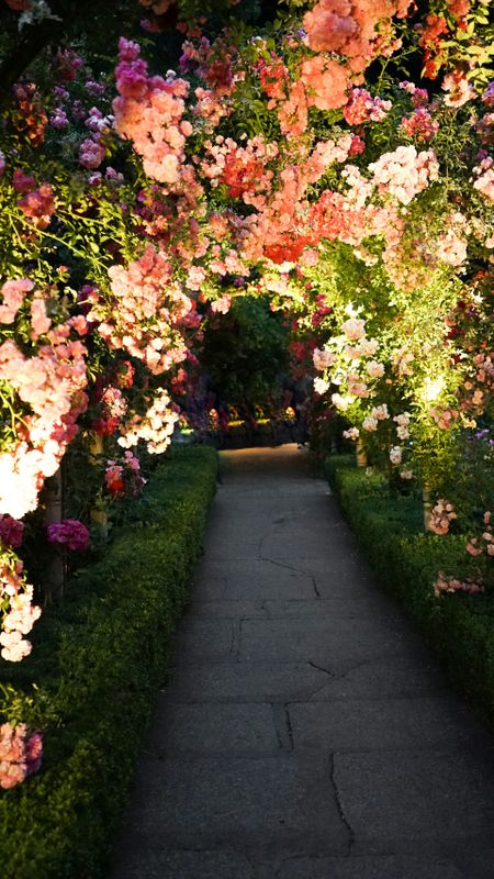 Walkway Design and Construction