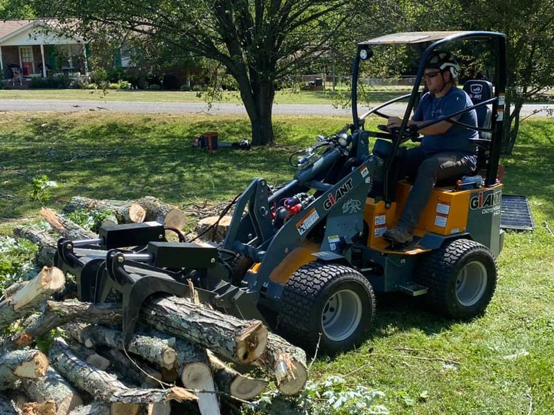 Tree Trimming and Removal