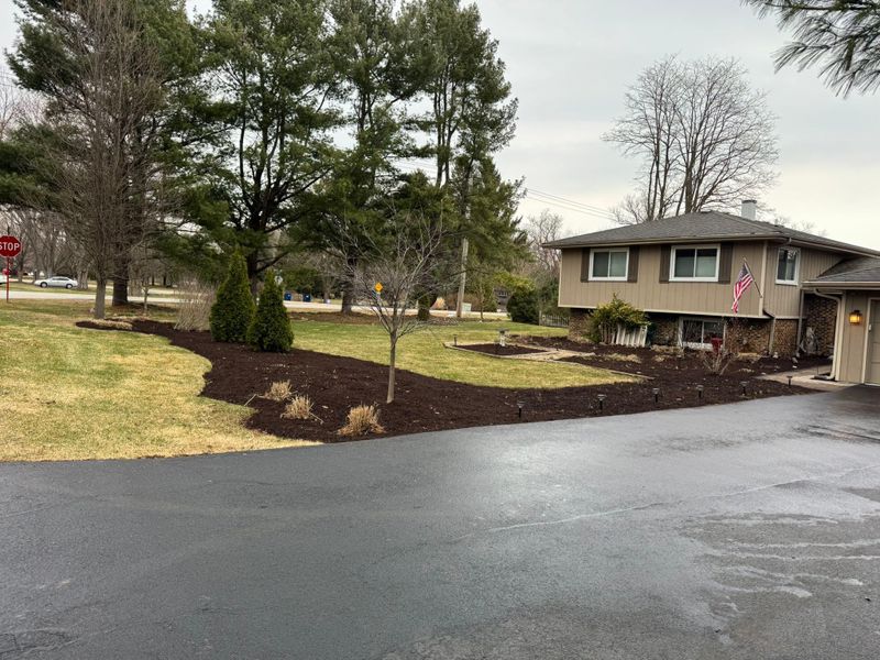 Flower Bed 