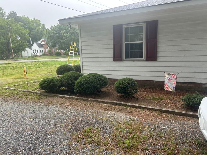Shrub & Plant Trimming 