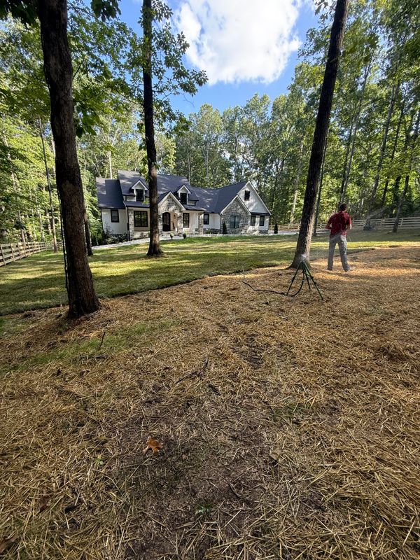 Transform Your Outdoor Space with UPscape's Landscaping Mastery