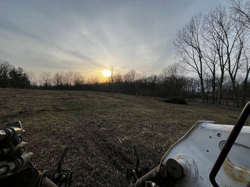 Land Clearing