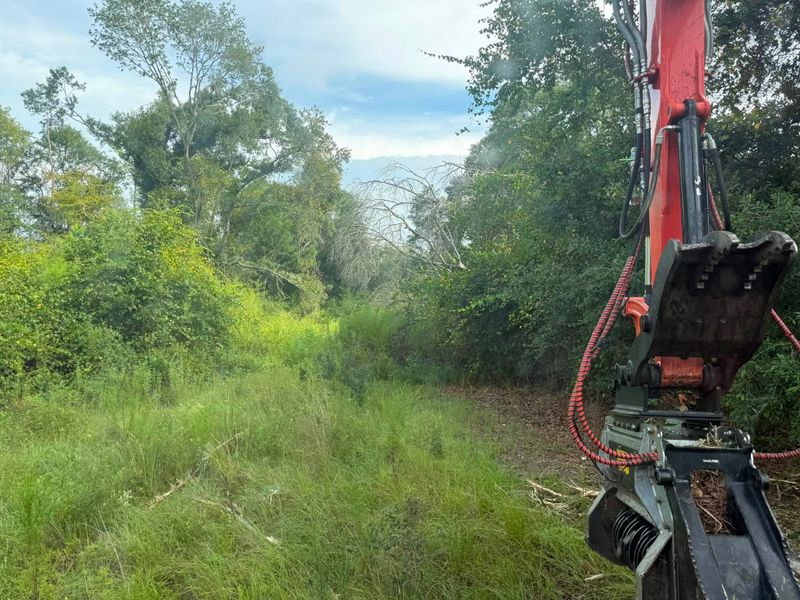 Land Clearing