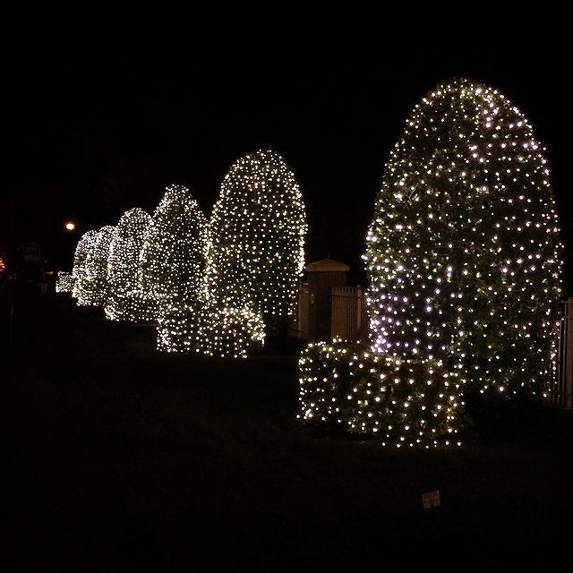 Christmas Light Installation