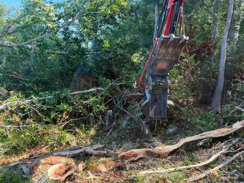Land Clearing