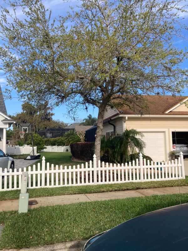 Tree Removal gallery