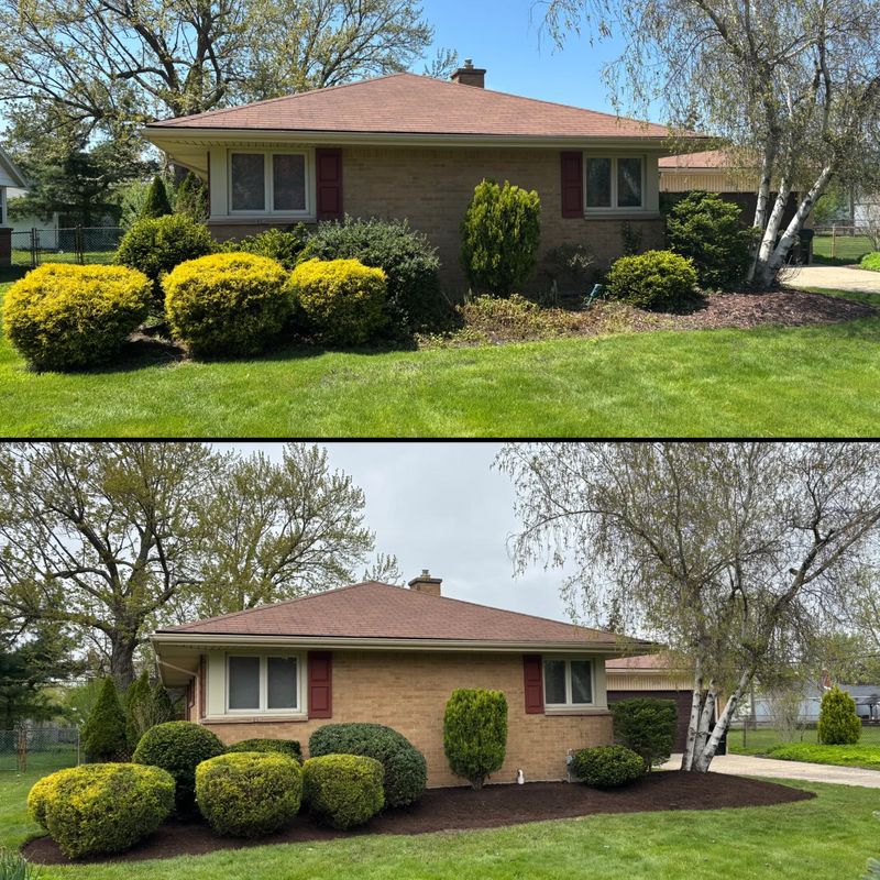 Before/After 